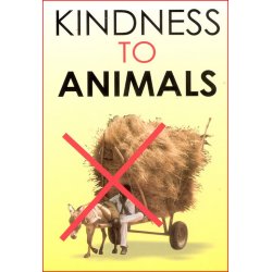 Kindness to Animals – Buy Kids Story Book | Dar-us-Salam