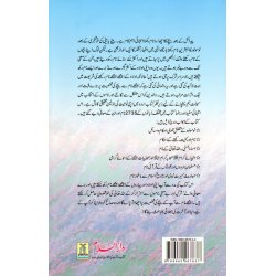 Urdu: Names Dictionary & Newborn Guide اسلامی نام و نومولود احکام