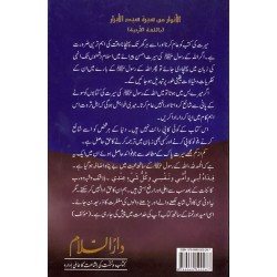 Urdu: Aftab Nubuwat Ki Sunehri Shuayian - By: Abdul Malik Mujahid