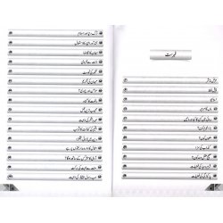 Urdu: Hadees kee Doosri Kitab