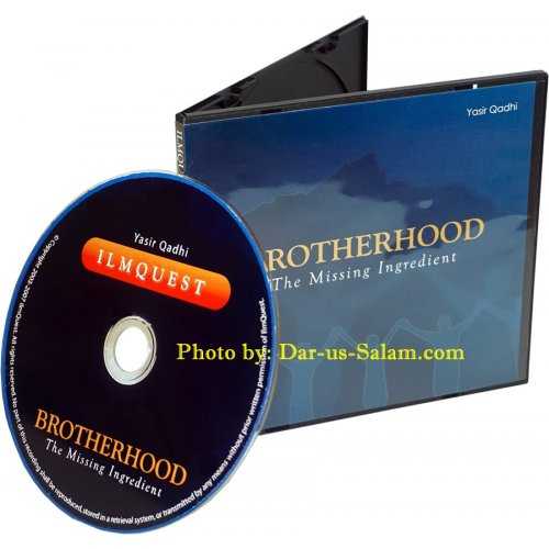 Brotherhood - The Missing Ingredient (CD)