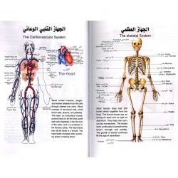 Kafi Dictionary (Arabic to English) - Large Size