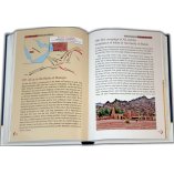 Golden Stories of Ali bin Abi Talib سيدنا علي بن أبي طالب | Dar-us-Salam