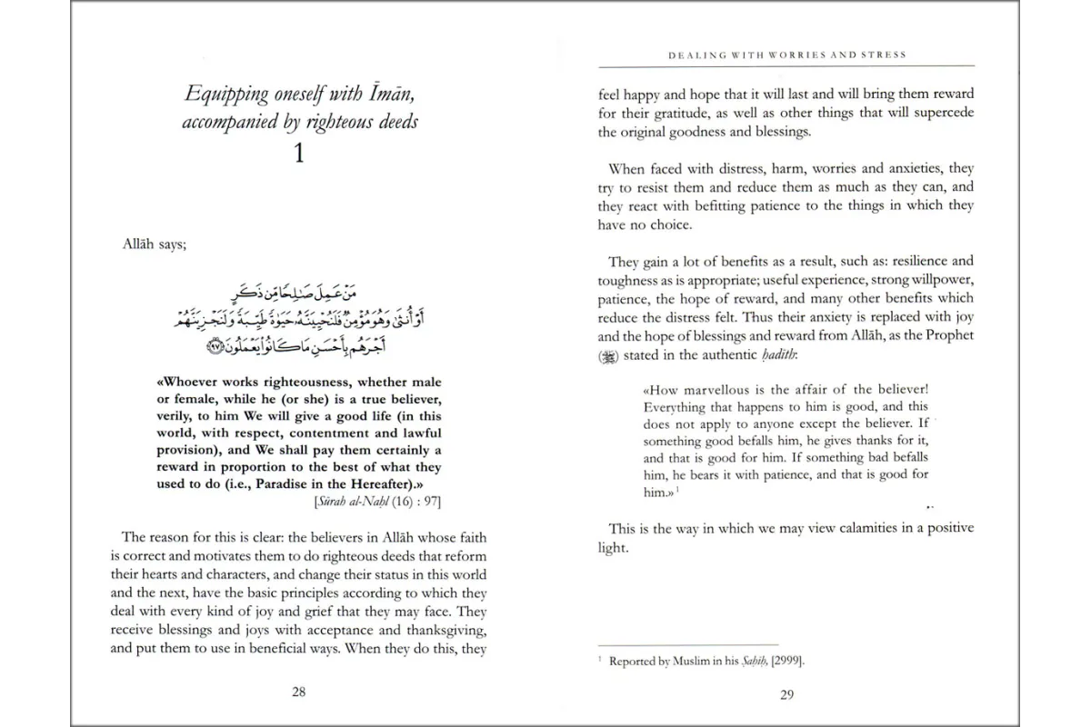 Dealing with Worries & Stress By Sheikh Muhammed Salih al-Munajjid